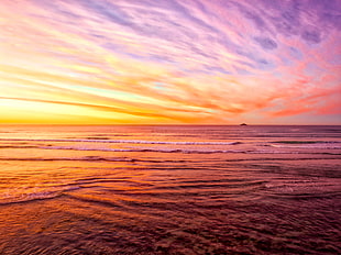 bodies of water during sunrise, dunedin HD wallpaper