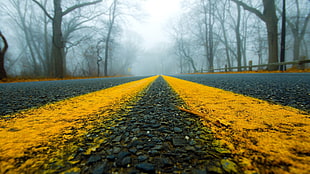 grey and yellow asphalt road