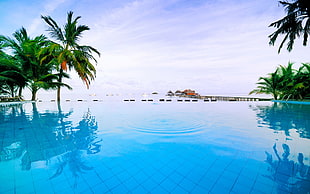 outdoor pool, palm trees, sea, boat, clouds