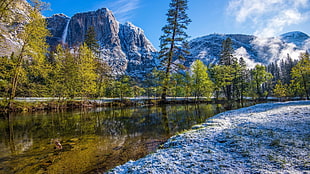 green leafed trees, landscape, nature, mountains, winter