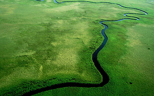green and black area rug, river, nature, aerial view HD wallpaper