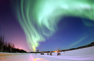 snow covered road under aurora borealis, alaska