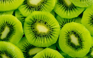kiwi fruit slices HD wallpaper