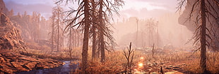 brown leafless trees near water stream