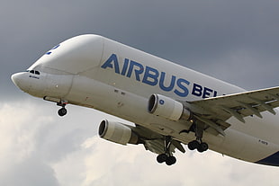 white Airbus airplane