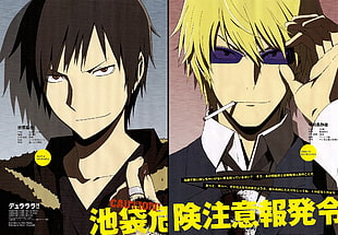 two male anime characters digital wallpaper, Durarara!!, Heiwajima Shizuo, Orihara Izaya, anime HD wallpaper