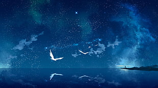 birds near sea digital wallpaper, sea anemones, birds, anime, sky HD wallpaper