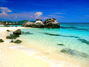 body of water near rock formation, beach