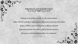persistence and determination text, rose, quote, Calvin Coolidge, rosicrucian HD wallpaper