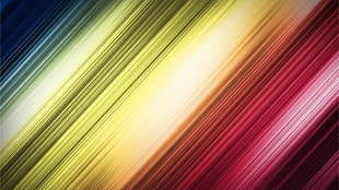 shallow focus of red, yellow, and blue colors HD wallpaper