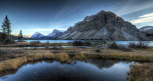 lake between grass field near sea and mountains under gray sky, bow lake