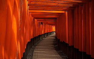 brown wooden bed frame with mattress, path, wood, orange (fruit), Japan HD wallpaper