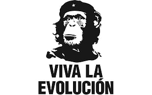 Viva La Evolucion monkey tencil illustration HD wallpaper