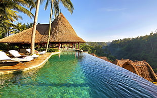 brown hut, nature, landscape, swimming pool, palm trees HD wallpaper