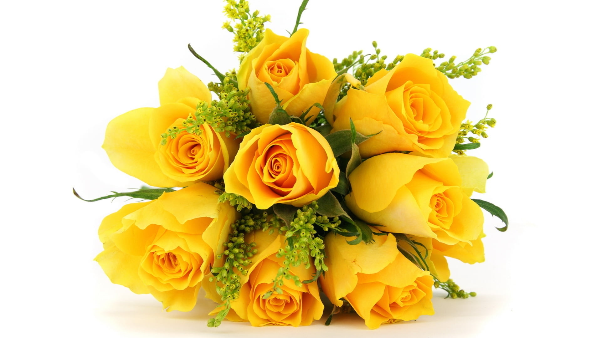 yellow Rose flowers