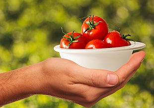 Person holding Tomato