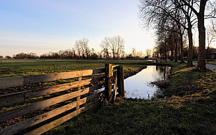 brown and white wooden fence, nature, river, fence