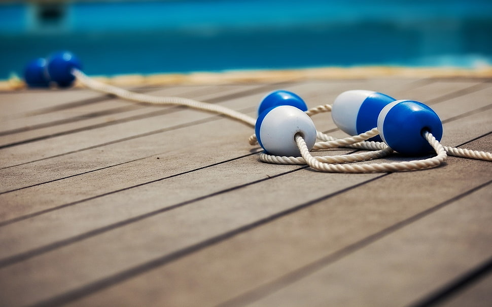 white and blue sea buoy on brown dock HD wallpaper