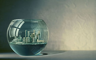 clear glass fish bowl, Platinum Conception Wallpapers, Photoshop HD wallpaper
