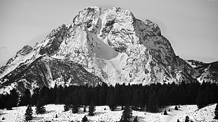 greyscale photo of mountain cover with snow HD wallpaper