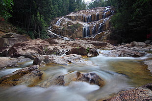 landscape, water, rocks, forest