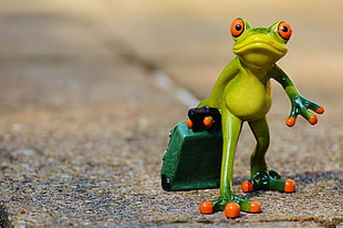 green and orange frog figurine HD wallpaper