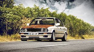 white and brown BMW 3-Series sedan, car HD wallpaper