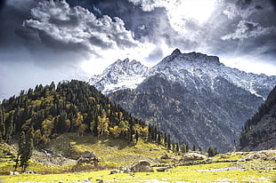 landscape photo of icy mountain