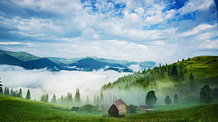 landscape view of sea of clouds from mountain HD wallpaper