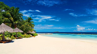 three beach huts, landscape, tropical, beach