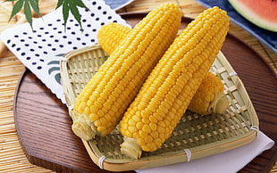 three yellow corns on wicker tray HD wallpaper