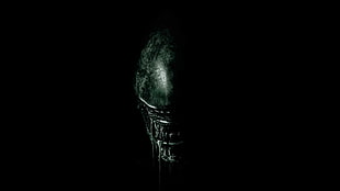 Alien movie poster HD wallpaper