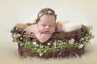 baby with pink rose headdress sleeping on a basket HD wallpaper