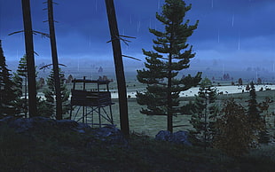 DayZ, night, rain, video games