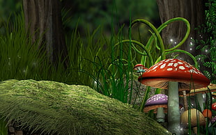red mushroom illustration, mushroom