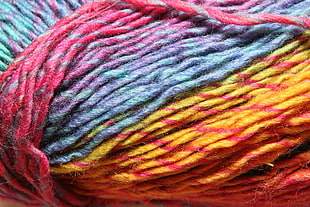 closeup photo of strings