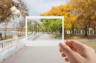 force perspective photography of person holding park photo HD wallpaper