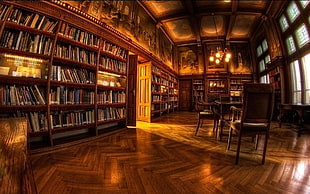 book booked on book shelves inside the library HD wallpaper