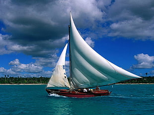 white and brown sailboat, sea, water, boat, island HD wallpaper