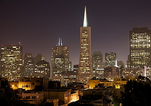 cityscape photography during night time, san francisco HD wallpaper