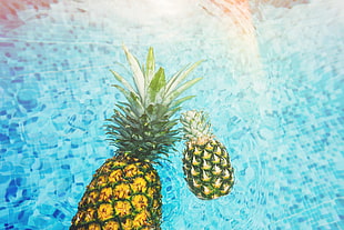 two pineapple on waters HD wallpaper