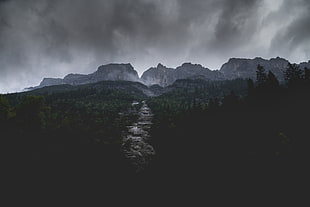 dark clouds, landscape, nature, forest, trees