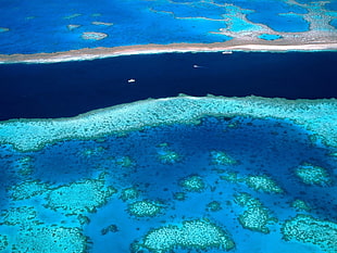 aerial view photography of Great Barrier Reef HD wallpaper
