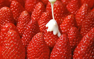 red strawberries with white cream HD wallpaper