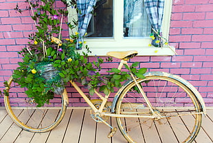 yellow plant pot bicycle rack near bricked purple structure HD wallpaper