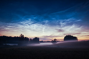 landscape photo of trees, nature, landscape, sky, mist