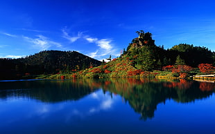 red flowering trees, landscape, nature, lake, reflection