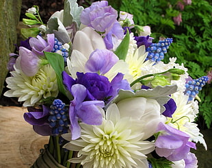 white and purple petaled flower bouquet