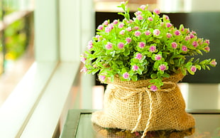 pink artificial flower in brown sack on table beside window