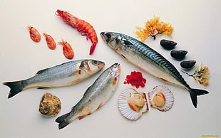 seafoods on white surface HD wallpaper